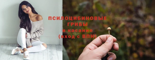 дурь Балахна