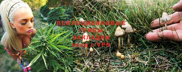 ПСИЛОЦИБИНОВЫЕ ГРИБЫ Баксан