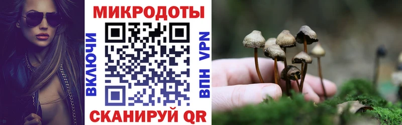 Псилоцибиновые грибы прущие грибы  Давлеканово 